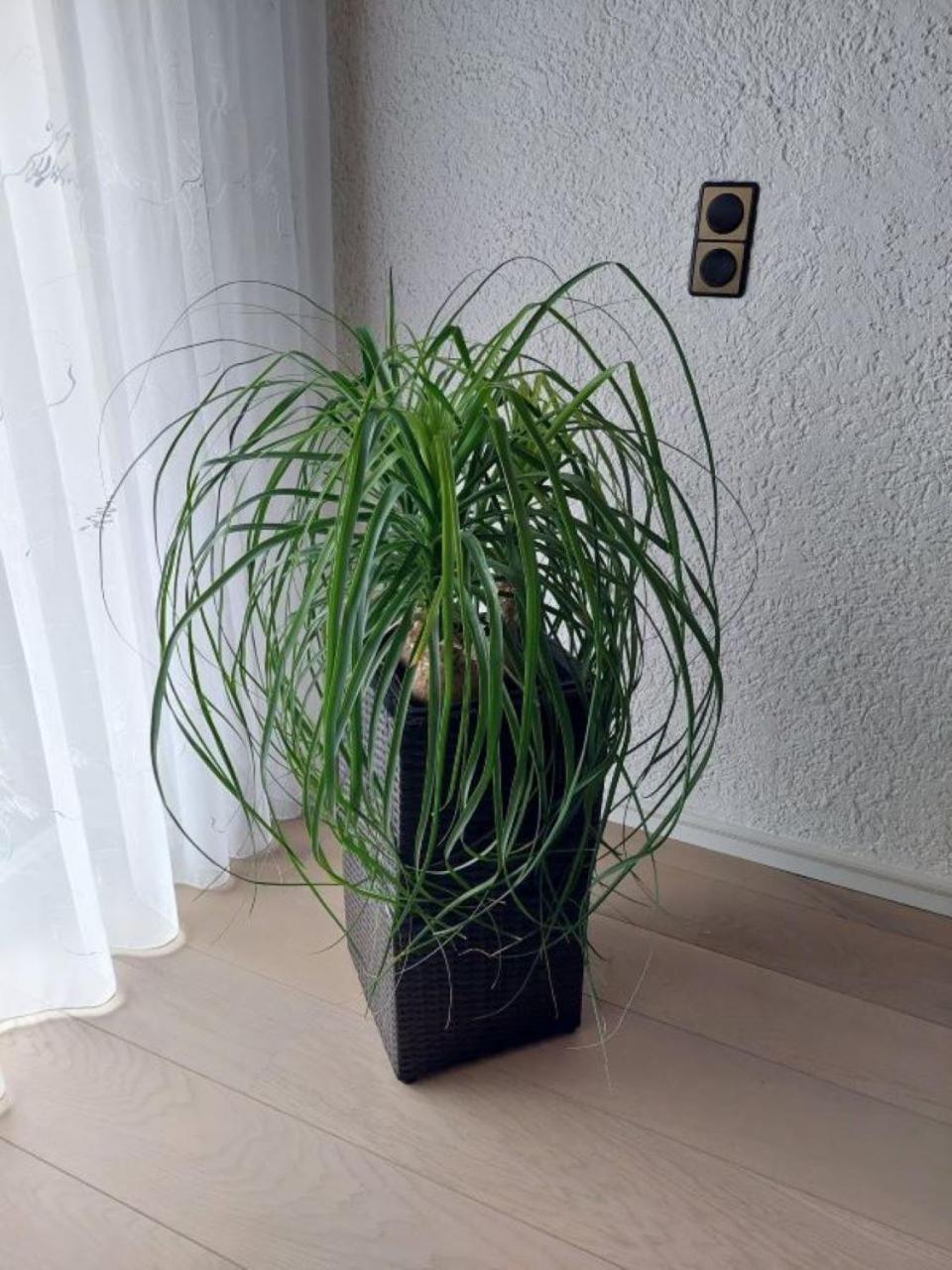 Harzhaus Rauch Apartman Braunlage Szoba fotó